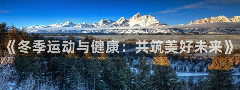 领航国际3官网登录