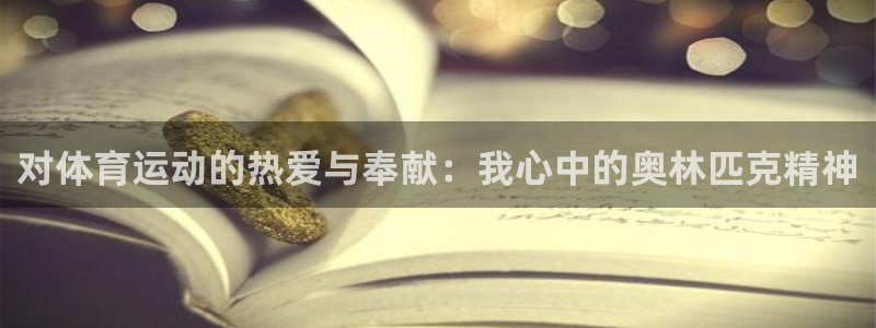 领航国际体育1招商