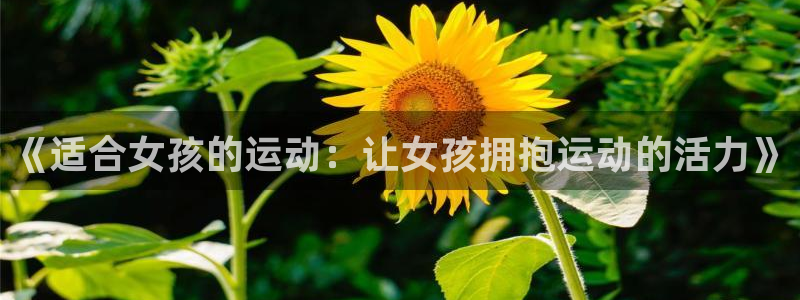 领航国际体育合法嘛