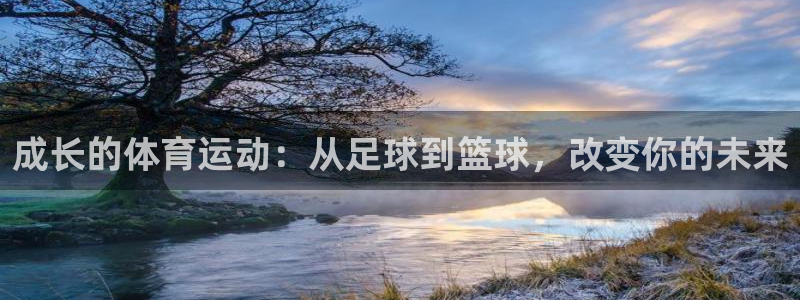 领航国际5招商