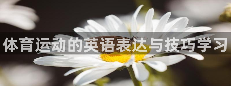 意昂官网注册