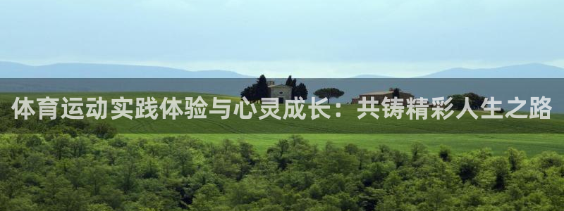 领航国际平台主管