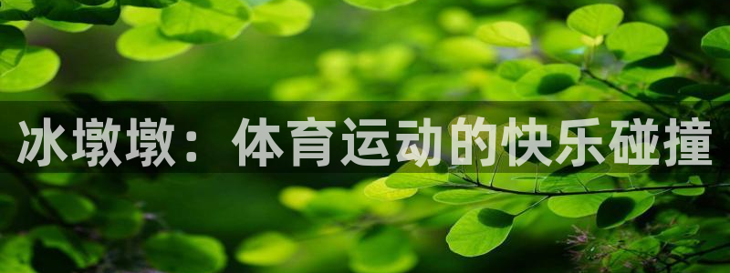 领航国际代理