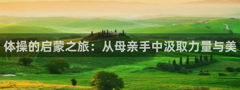 领航国际5招商