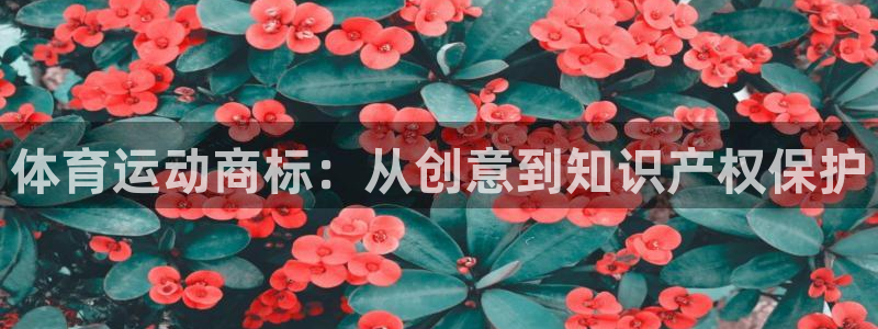 领航国际5注册