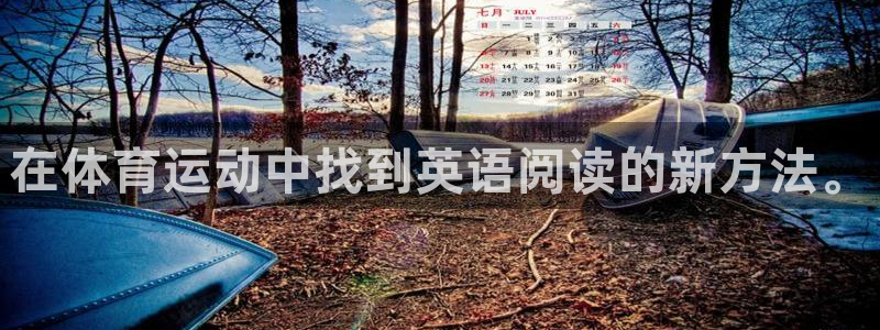 领航国际5