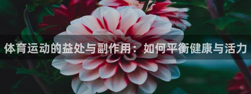 领航国际体育3在线注册