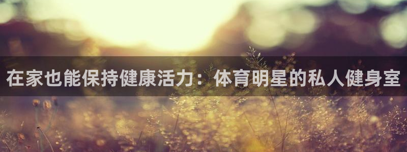 领航国际2体育