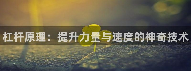 领航国际股份