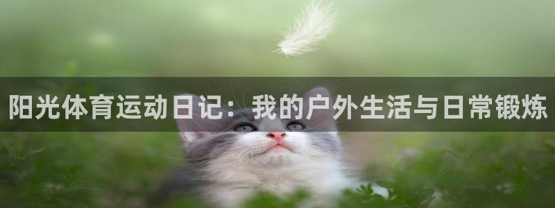 领航国际体育2官网入口