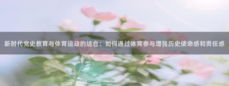 领航国际2注册