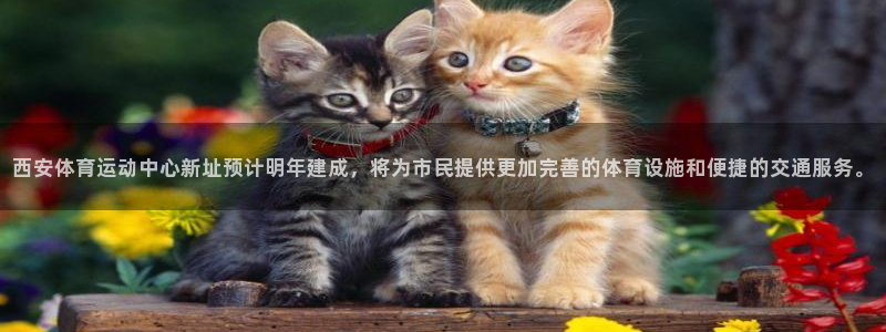 意昂3注册