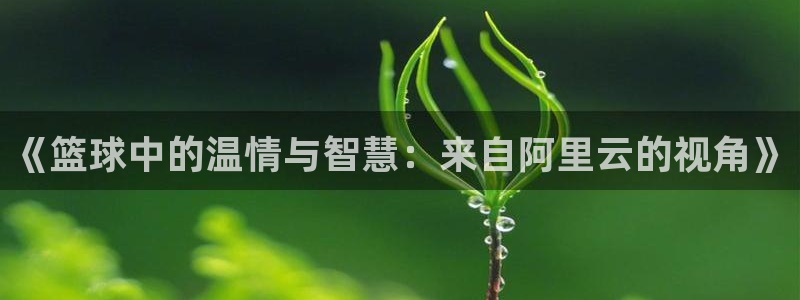 领航国际4官网
