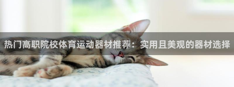 领航国际体育4