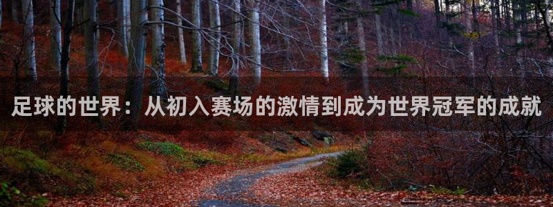 领航国际凯捷平台注册链接