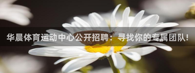 意昂官网注册