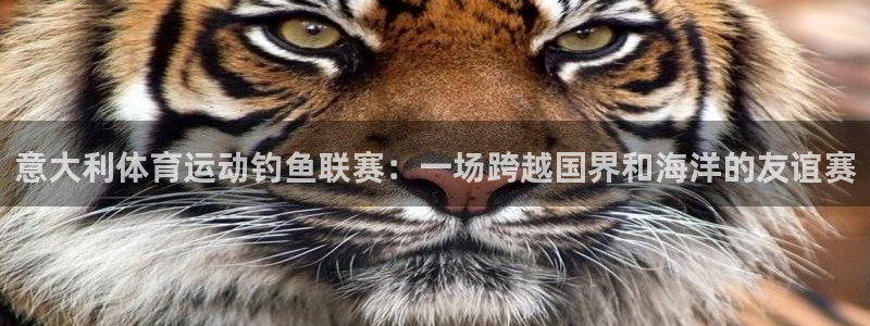 意昂工课